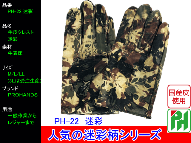 PH-22_MEISAI.gif