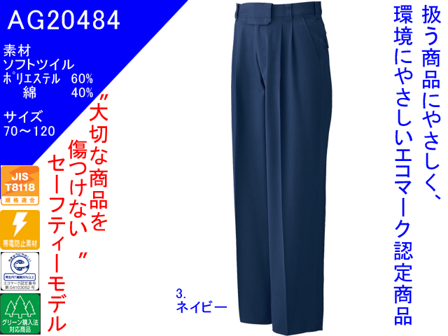 20484