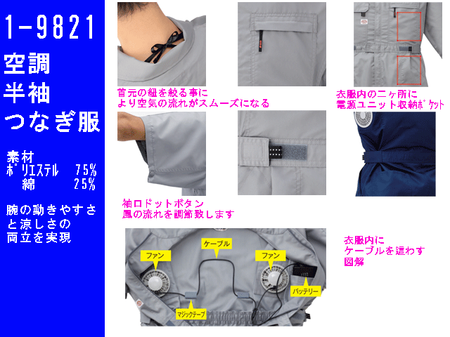 9821_2.gif